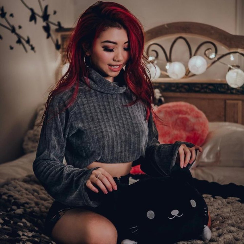 Cinnamon Velvet Cropped Turtleneck